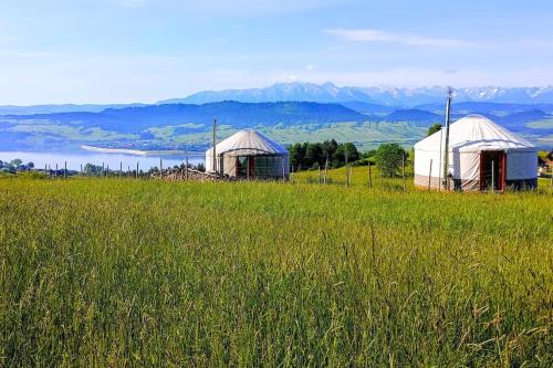 SzlembarkWoda Góry Las - glamping CAŁOROCZNY的两个帐篷位于田野,享有湖景