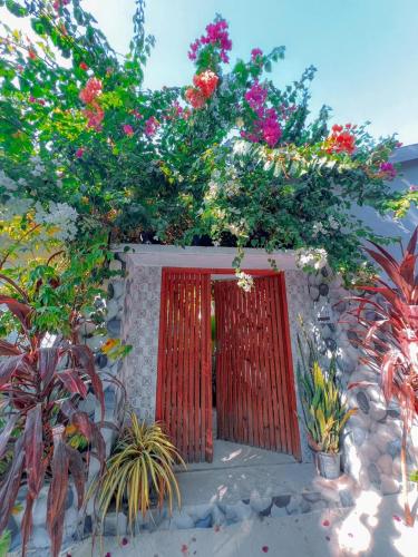 Thoddoo Haisha inn, Maldives