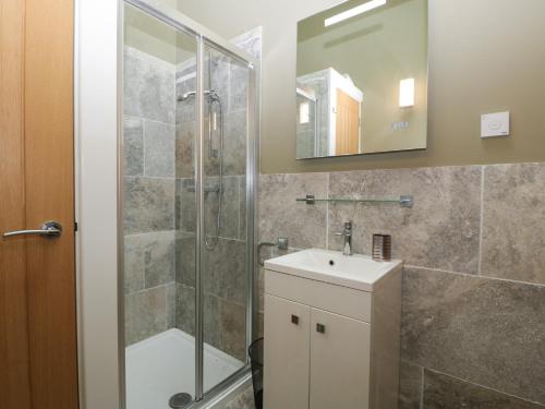 切普斯托Bottom Lodge的带淋浴、盥洗盆和镜子的浴室