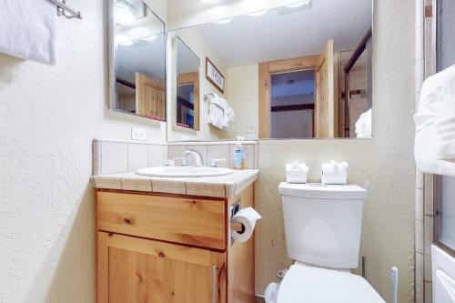 特拉基Aspen Grove Condo的一间带卫生间、水槽和镜子的浴室