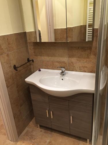萨奥兹-杜尔克斯松鼠公寓的一间带水槽和镜子的浴室