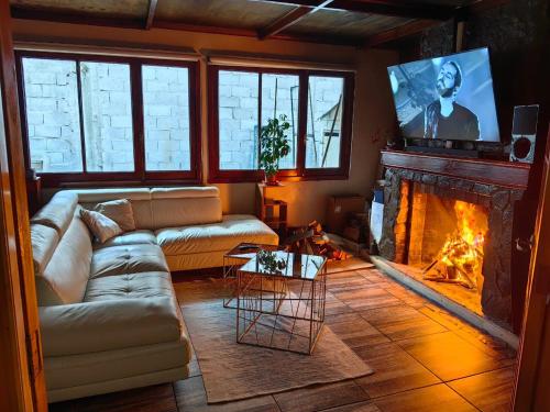 蓬塔阿雷纳斯Alojamiento Punta Arenas的带沙发和壁炉的客厅