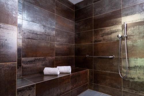 南希Nemea Appart Hotel Grand Cœur Nancy Centre的浴室设有棕色瓷砖和淋浴。