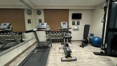 突尼斯高尔夫皇家酒店的一间设有健身房、机器和镜子的房间