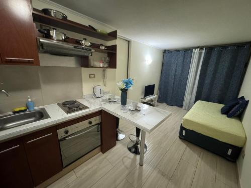 圣地亚哥Apartamentos Orquídea Suite的一个带桌子和水槽的小厨房