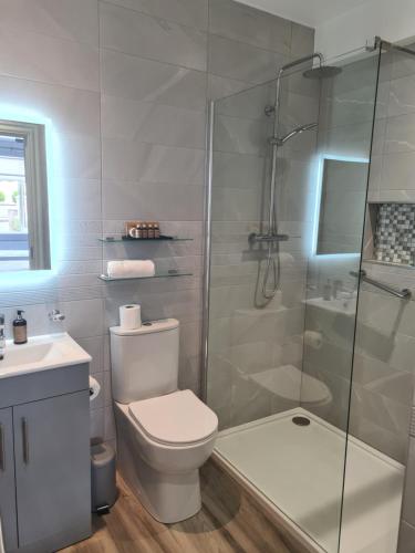 科克Blackrock Carole Ville Guesthouse的一间带卫生间和玻璃淋浴间的浴室