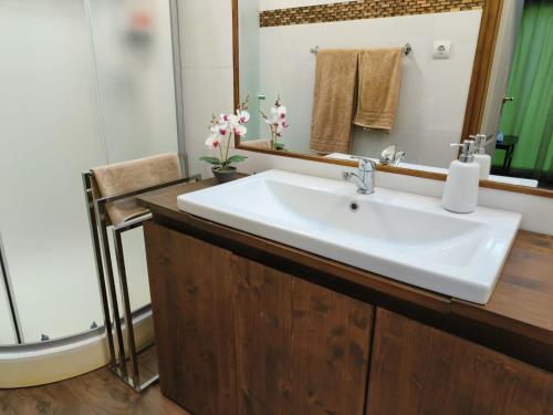 克卢日-纳波卡Cluj Center 2的浴室设有白色水槽和镜子