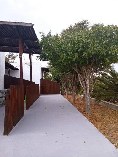加夫多斯岛Metochi Gavdos的通往树木之家的步行道
