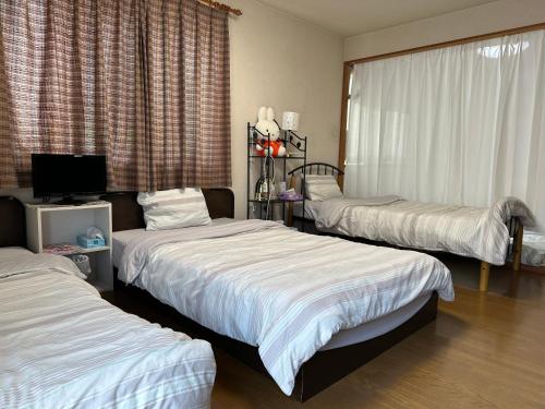 神户Private Inn Bambee的酒店客房设有三张床和电视。