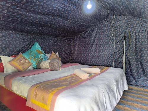 TurtokTyakshi Summer Camp的一张大床,位于带天蓬的房间
