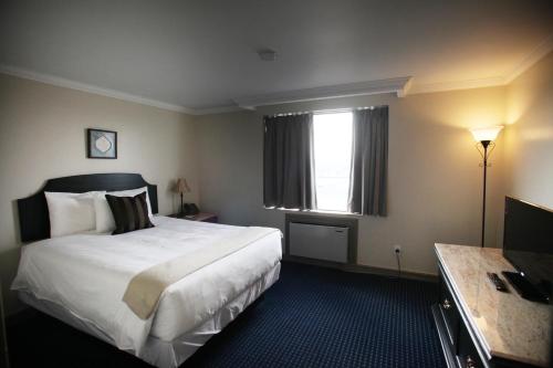 多伦多卡西诺山套房酒店的酒店客房设有床和窗户。
