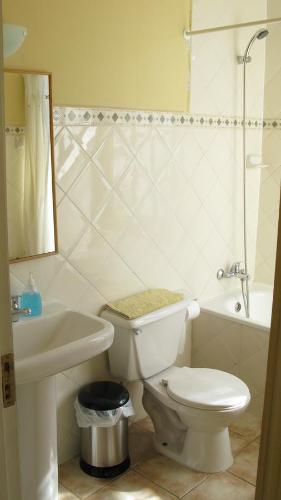 波韦尼尔Yendegaia House的浴室配有卫生间、盥洗盆和淋浴。