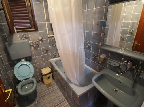 下米拉诺瓦茨Rooms Jankovic的一间带卫生间和水槽的小浴室