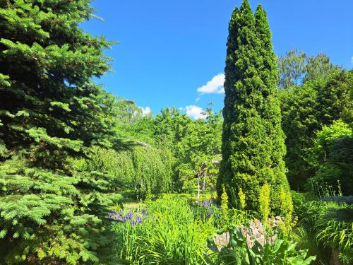 里加Champêtre Park View Apartments的花园,两棵大树和鲜花