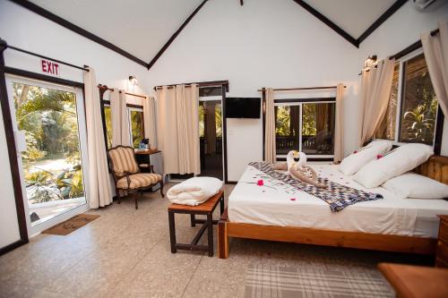 圣伊格纳西奥Falling Leaves Lodge的一间设有床铺的卧室,位于带窗户的房间内