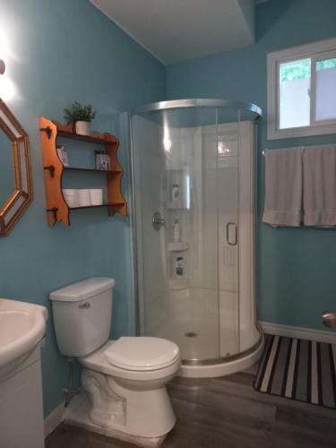金斯顿Amor Bayridge的带淋浴、卫生间和盥洗盆的浴室