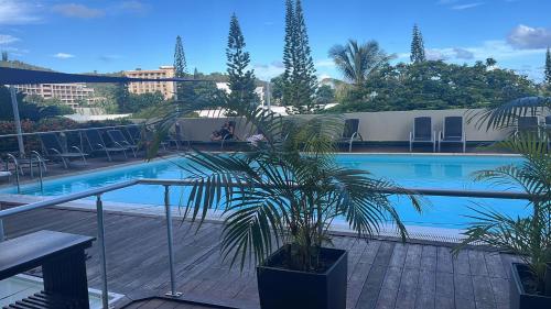 努美阿The place to be的游泳池旁的棕榈树