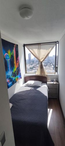 圣地亚哥Departamento Parque O'Higgins的一间卧室设有一张床和一个大窗户