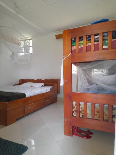 波特尔堡Maasai Villa Backpackers Home的一间卧室配有一张双层床和一张双层床,配有梯子