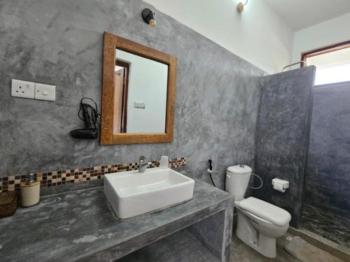 南威Zanzicrown的一间带水槽、卫生间和镜子的浴室