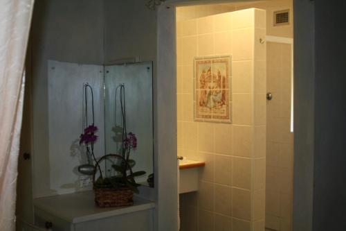 乌旺戈海滩Stephward Estate Country House的带淋浴、盥洗盆和卫生间的浴室