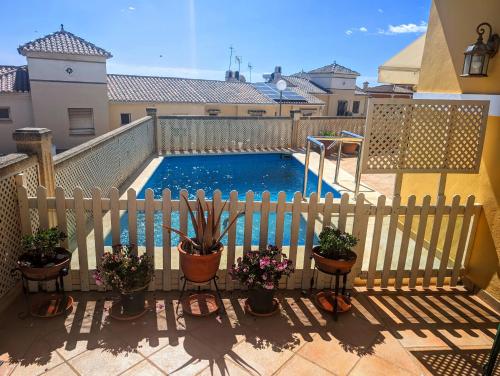 托雷德尔马尔Viña Home的带有盆栽植物的阳台上的游泳池