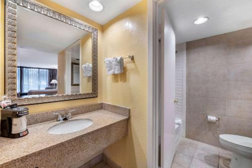 奥兰多Clarion Inn International Drive的一间带水槽、卫生间和镜子的浴室