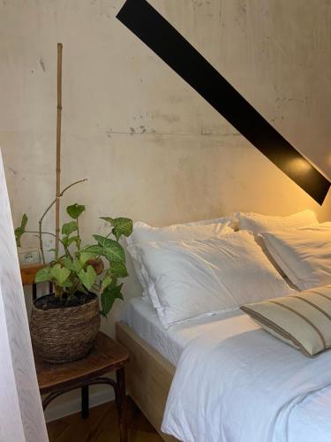 第比利斯Capsula的一间卧室,配有一张桌子上种植植物的床