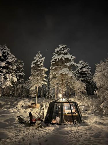 Aurora Igloo with private hot tub by Invisible Forest Lodge