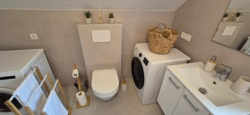 马里博尔Apartment Dolce Vita Maribor的浴室配有白色卫生间和盥洗盆。