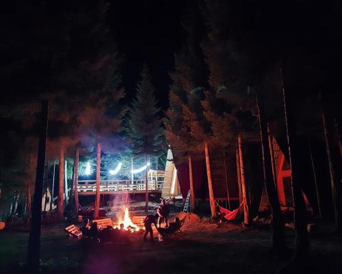 梅斯蒂亚Bude Mestia cottages的一群人晚上在 ⁇ 火周围