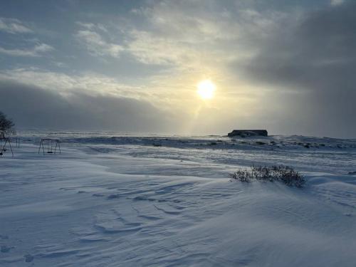 VíðirhóllGrímstunga Guesthouse Hólsfjöll的一片雪地,太阳照耀下