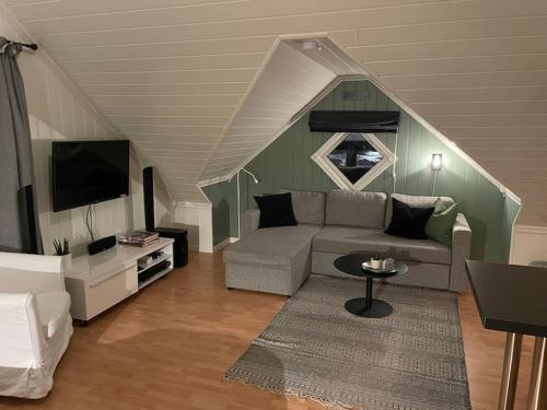 HolenKoselig garasjeloft!的带沙发和电视的客厅