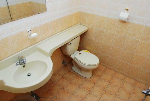 西归浦市赫拉卡斯尔度假屋的一间带水槽和卫生间的浴室