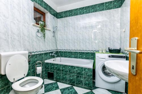 拉茨斯切Apartment Leo的绿色和白色的浴室设有卫生间和水槽