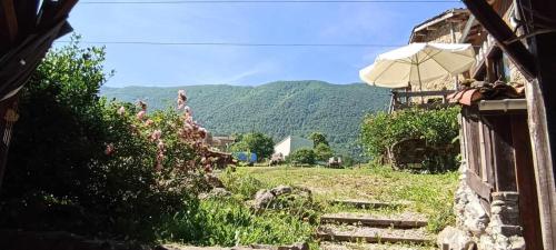 山景或在山林小屋看到的山景