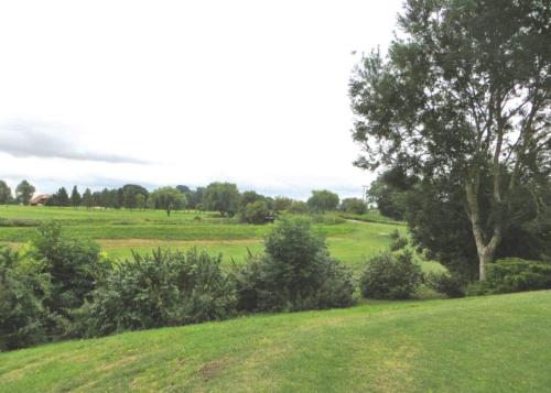 UpwoodOld Nene Golf And Country Club的绿地,田野里树木和灌木丛