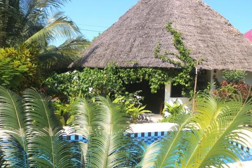 江比阿Aurora Boutique Hotel Jambiani的热带房屋 - 带茅草屋顶和棕榈树
