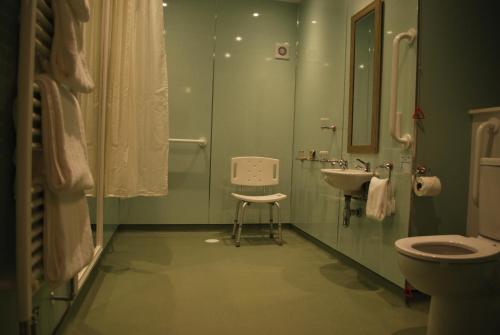 阿利士皇家天地酒店的绿色浴室设有卫生间和水槽