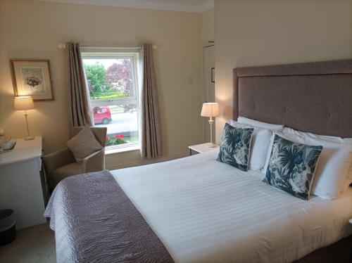 基拉尼翠鸟旅馆的酒店客房设有床和窗户。