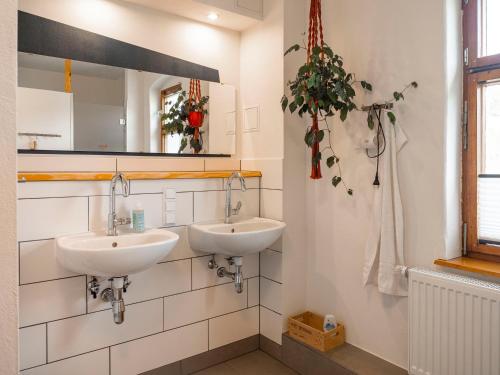 拉特诺Hinterland Hostel的浴室设有2个水槽和镜子