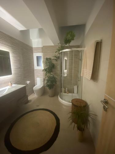 SelíniaSelini apartment的带淋浴、卫生间和盥洗盆的浴室