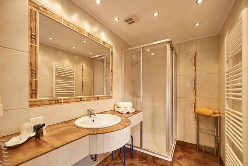 弗拉绍阿斯特丽德旅馆的一间带水槽和淋浴的浴室