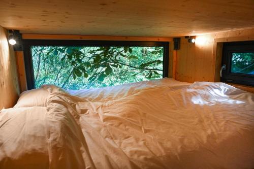 奥斯特罗德Green Tiny Village Harz - Tiny House Nature 13的窗户客房内的一张大床