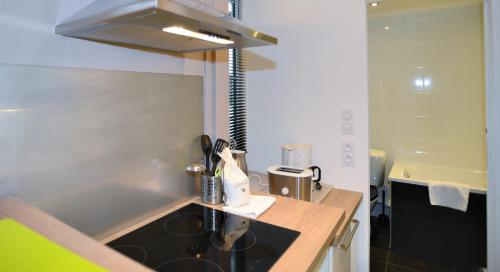 里昂共和公寓的厨房配有水槽和台面
