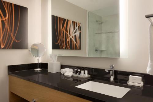纽约纽约勒苏蕾行政酒店的一间带水槽和镜子的浴室