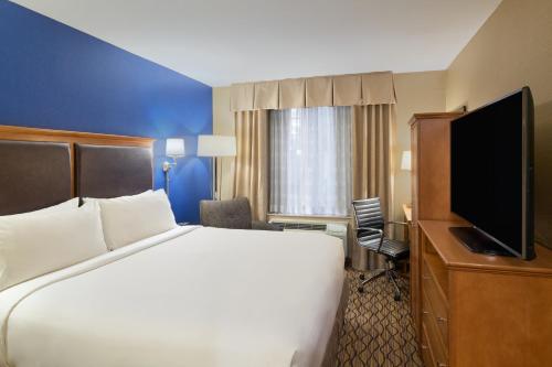 纽约纽约切尔西快捷假日酒店的配有一张床和一台平面电视的酒店客房