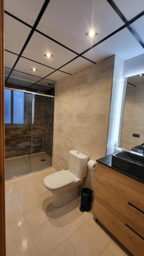 圣巴巴拉Apartamento VALLFOGONA Relax的浴室配有卫生间、盥洗盆和淋浴。