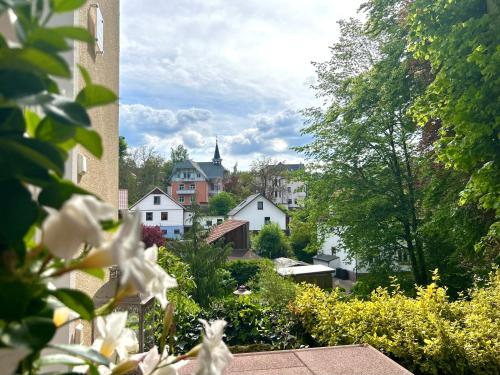 格奥尔根塔尔Traum-Ferienwohnungen Georgenthal的从鲜花盛开的花园欣赏到城市美景