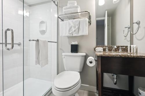新奥尔良法国市场旅馆的一间带卫生间和玻璃淋浴间的浴室